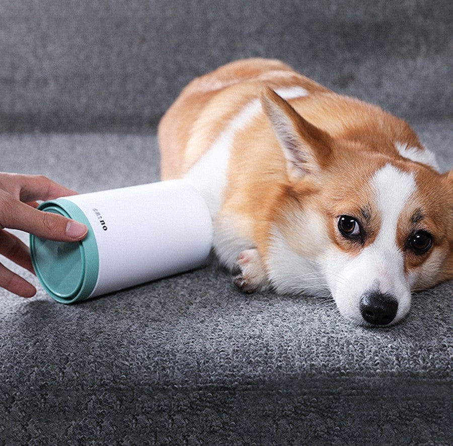 FreshStep™ Portable Dog Paw Cleaner